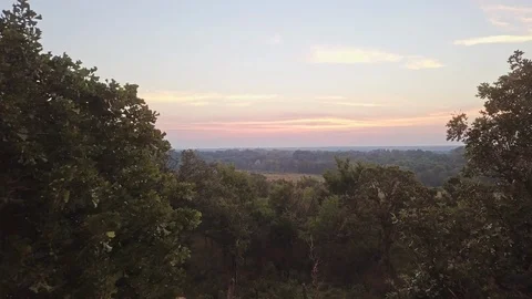 Drone Between Oaks Stock Footage 100074394