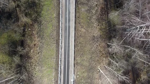 Drone bike Path in the Forest without Leaves Autumn Stock Footage 134275951