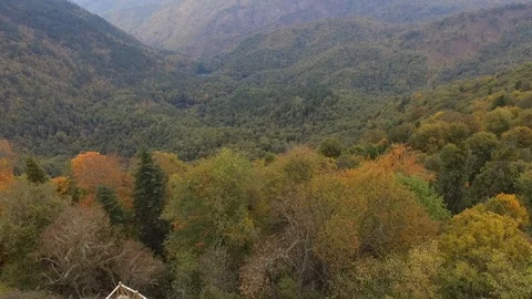Drone bird eye view of forests,Turkey Stock Footage 108590136