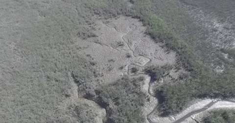 Drone Bird's Eye Over Marsh Stream 4K Vídeos de archivo 84041317
