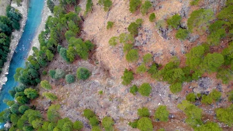 Drone birds eye View of Forest and Blue river Stock Footage 110175859