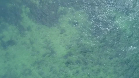 Drone birdseye view of clear ocean water Vídeo Stock 84267597