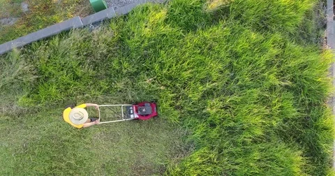 Drone birdseye view of man mowing long grass by hand Stock Footage 75956733