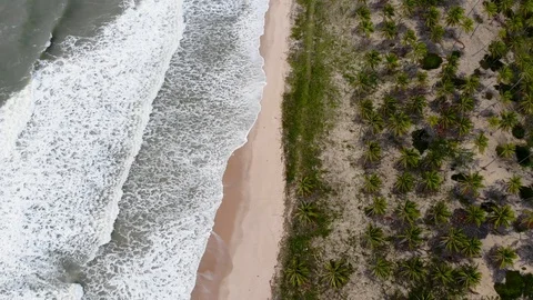 Drone breaking waves at beach. Imbassaí beach. Bahia, Brazil. Vídeo Stock 117045943