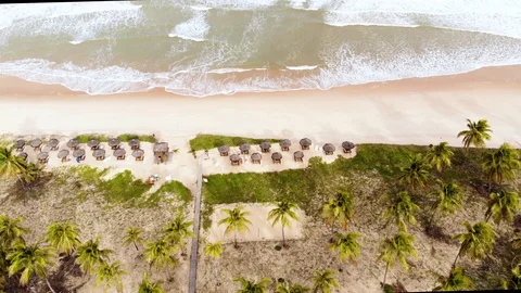Drone bungalows, coconut trees and waves. Imbassaí Beach. Bahia, Brazil. Vídeo Stock 117043672