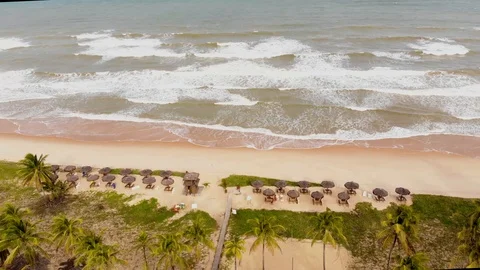 Drone bungalows, coconut trees and waves. Imbassaí Beach. Bahia, Brazil. Vídeo Stock 117044010