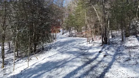 Drone to cabin in the woods Stock Footage 169461913