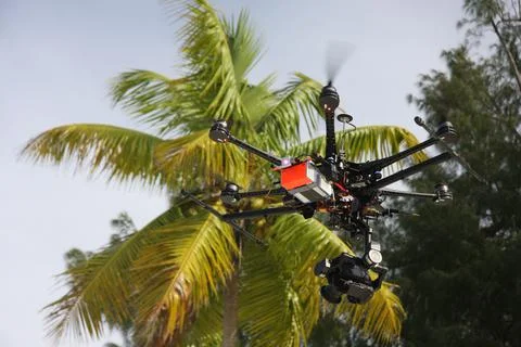 Drone with camera for aerials, palm tree, Indian Ocean Stock Photos