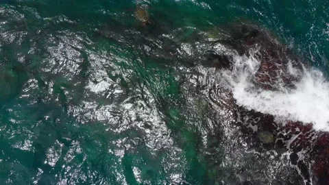 Drone camera captures a top view of sea turtles peeking out of the waves Video stock 135916610