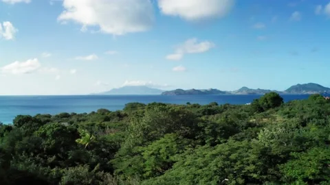 Drone camera captures the tops of dense forest and view of blue sea Video stock 136404664
