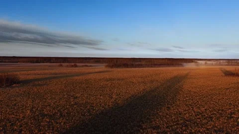 Drone camera descends to the autumn field in a countryside in Manitoba, Canada Video stock 166977762