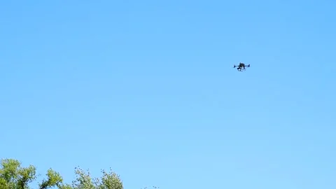 Drone with a camera flies against the background of trees and sky Stock Footage 306547263