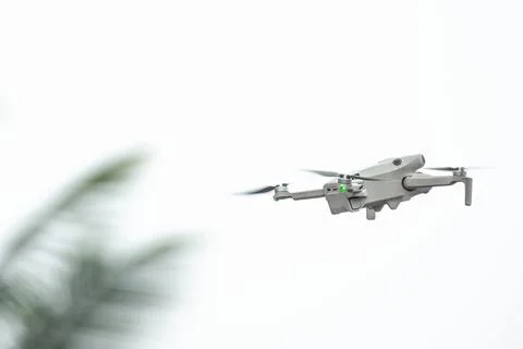 Drone with camera flies in the background of trees and sky. The drone hover.. Stock Photos