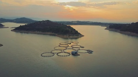 Drone camera flies over fish farm on a lake on sunrise Stock Footage 90986943
