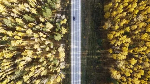 Drone with camera flies over highway on which cars are driving Video stock 318485505
