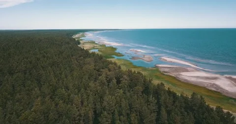 The drone camera flies over pine forest towards the sea Stock Footage 146700798