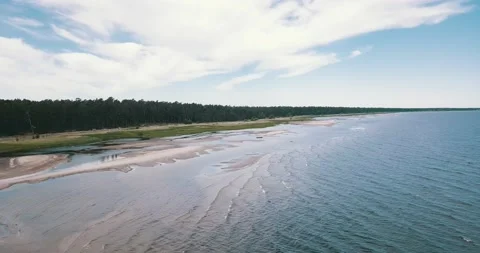 The drone camera flies over the sea bay towards the green pine forest Stock Footage 146700850