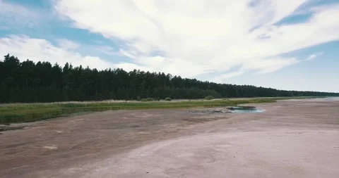 The drone camera flies towards pine forest Stock Footage 146700664