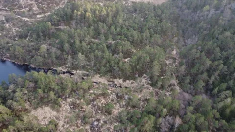 Drone camera flying backward over a Norwegian forest showing fjords, lakes Video stock 335199029