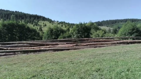 Drone camera flying near illegal cutted pine wood logs Stock Footage 140037023