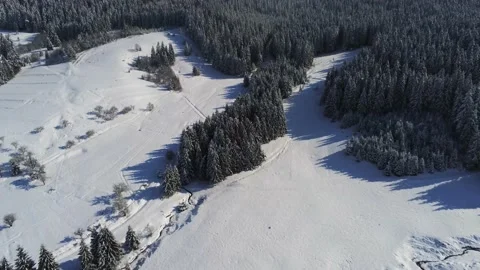Drone camera flying over  dense pine woods at wintertime Stock Footage 150683345