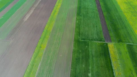 Drone camera flying over green agricultural fields Stock Footage 153803735