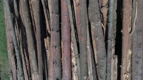 Drone camera flying over illegal cutted pine wood logs Stock Footage 140036984