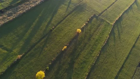 Drone camera flying over terraced  agricultural fields Stock Footage 141531542