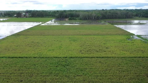 Drone camera Stock Footage 221833309