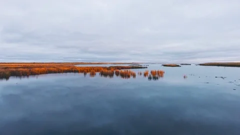 Drone camera glides along the lake surface  (Manitoba, Canada) Stock Footage 126082781
