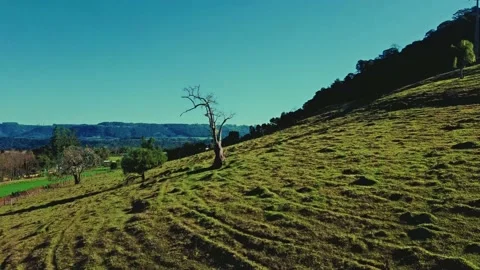 Drone camera going up on valley with tree on front. 스톡 동영상 133537772