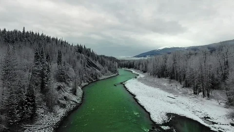 Drone camera moves along the river between the snowy shores with a pine forest Vídeo Stock 119235662