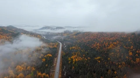 A drone camera moves along a road in a forest with a small winding river Video stock 120652568