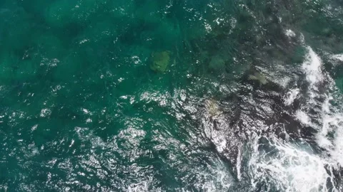 Drone camera moves away from sea turtles floating in the turquoise waves Video stock 135951815
