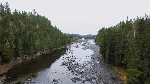 Drone camera moves to the horizon along a shallow river in a dense autumn forest Video stock 126080047