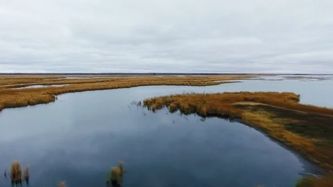 Drone camera moves over the mirror surface of the lake with thickets on a cloudy Stock Footage 126083567