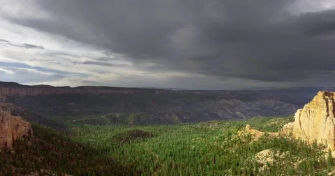 Drone camera moves over a pine forest at the bottom of the gorge on a cloudy day Vídeo Stock 118643563
