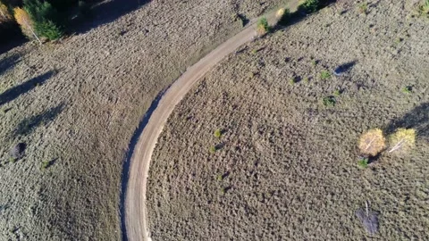 Drone camera moving forward over forest road Stock Footage 142748338