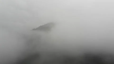 Drone camera over a forest full of fog. Stock Footage 221466212