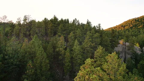 Drone Camera Pan of the Black Hills Above the Trees Video stock 252766947