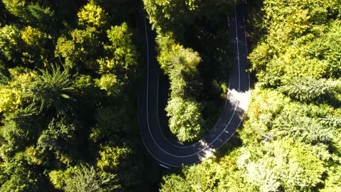 Drone camera rising  over a curving asphalt road in beautiful deciduous forest Stock Footage 162117261