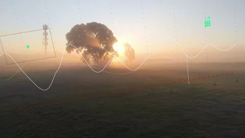 Drone camera shifting view over misty field, sunrise brightening tree, HUD Stock Footage 333255770