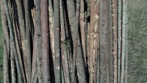 Drone camera slowly rising over illegal cutted pine wood logs Stock-Footage 140037016