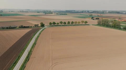 Drone camera smoothly captures sown fields of Europe Stock Footage 309466876