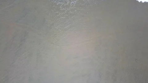 Drone camera is straight down as dog trots down beach water edge toy in mouth Stock Footage 97612037