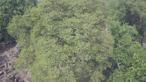 Drone camera tilting down on temple ruins. Stock Footage 129193688