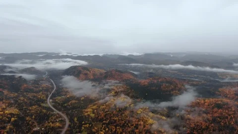 Drone camera whirls over a dense forest in a mountain range with a winding road Stock Footage 120651203