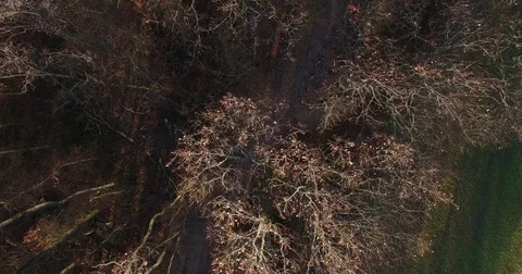 Drone campain view in winter with sunny weather Stock Footage 83996024