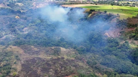 Drone capture of fire advancing through crop rows Stock Footage 307082375