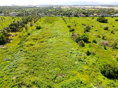 Drone Capture of Lush Vegetation in Plan de los Amates, Acapulco Stock Photos